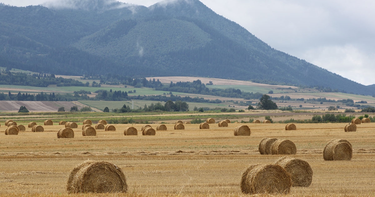 Ne maradjon le a jelentkezésről!